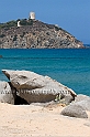 Chia (40D_11842_2rid)